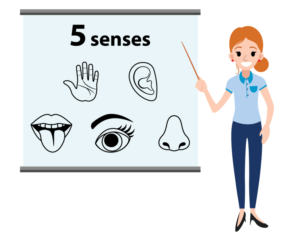 Audience Participation in Business Presentations Engages all Senses