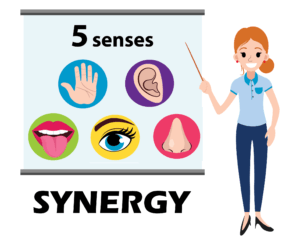 Inspires the Senses Synergy