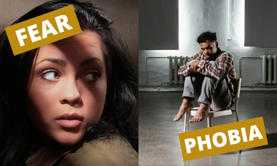 Glossophobia Definition_ The Fear of Public Speaking. (Traditional Definition.)